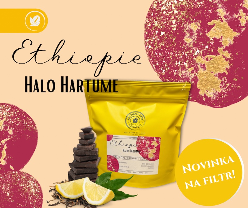 nová káva - Etiopie - Halo Hartume FW Gr. 2