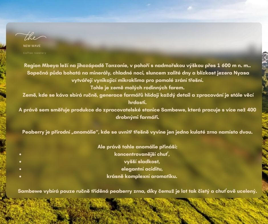 Tanzania – Sambewe Peaberry 