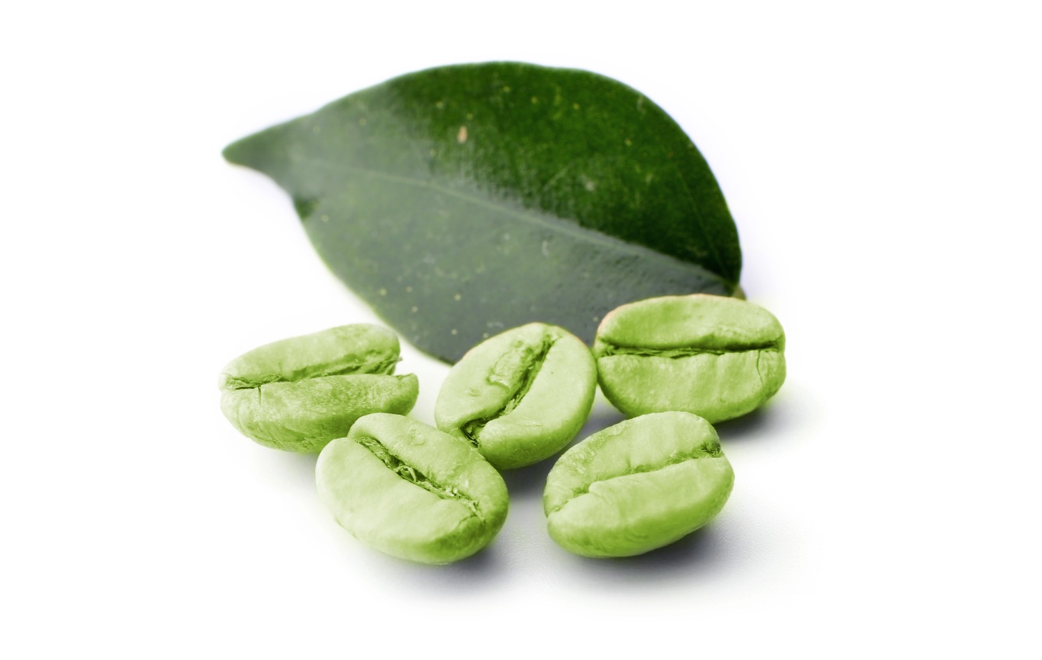 Káva a životní styl