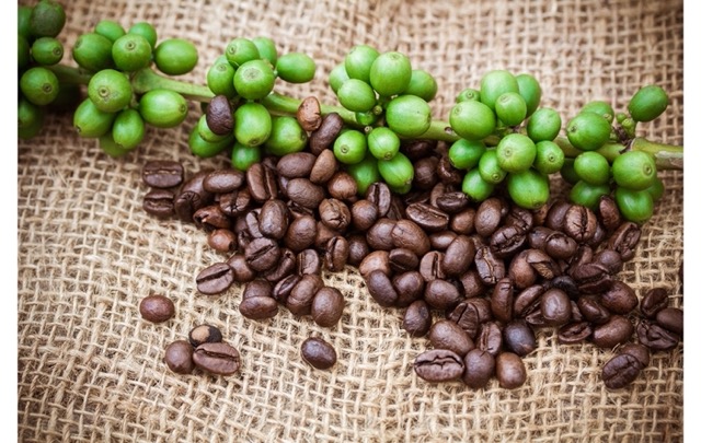 Káva a její původ