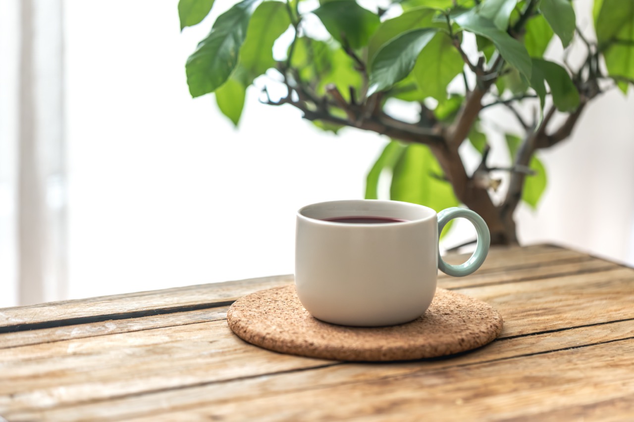 Pěstování kávovníku doma: Jak na to v květináči?