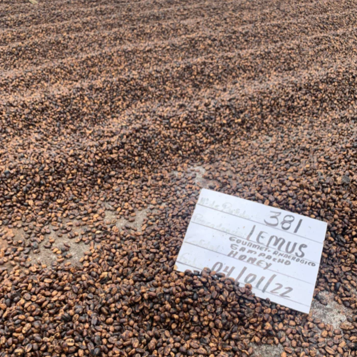 El Salvador - Finca Madre Tierra & Lemus - Thelma de Gutierrez - Tabi Honey 250g