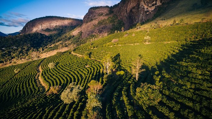 Brazílie Santos Diamond