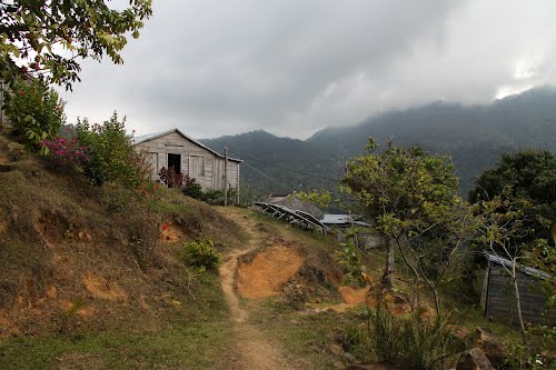 Pražená káva v dárkové plechovce – Cuba Serrano Lavado 200 g