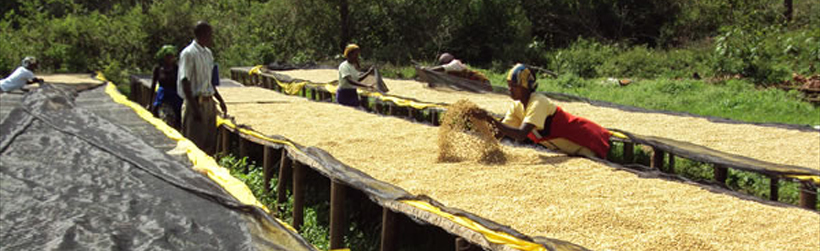 Rwanda Musasa Dukunde 250g