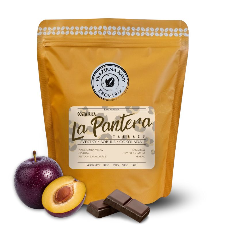 Costa Rica La Pantera Tarrazu