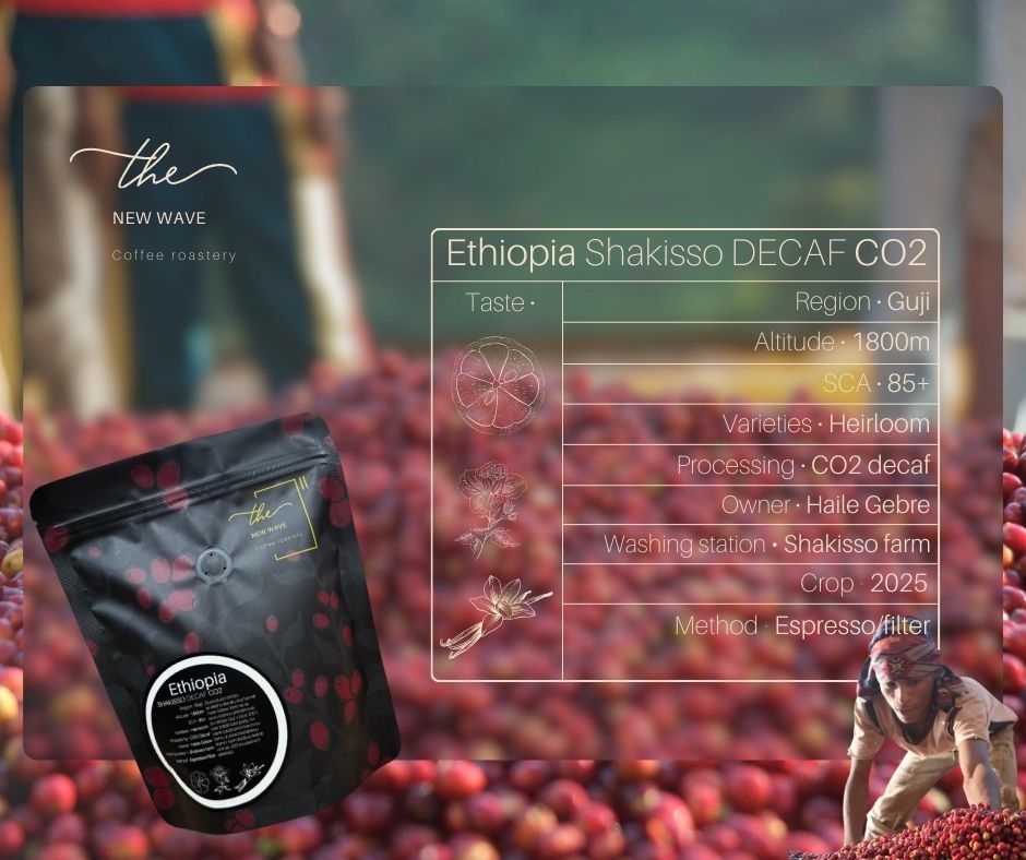 Etiopie Shakisso DECAF CO₂