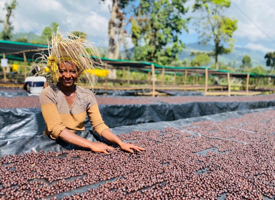 Etiopie washed Yirgacheffe gr. 2