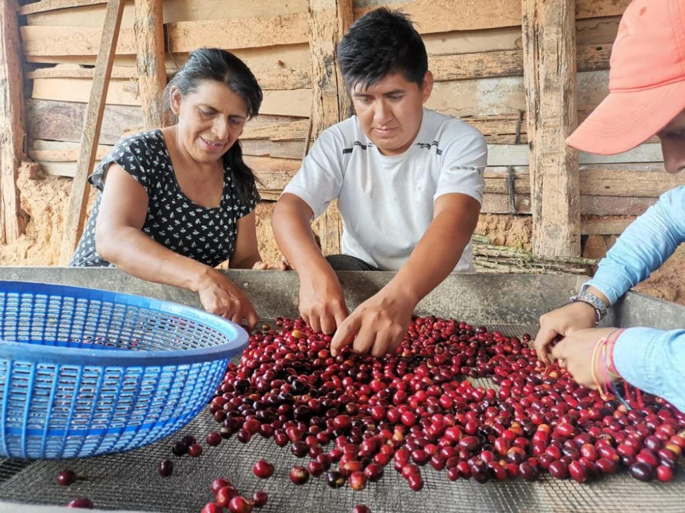 Peru Lisana Morales 250g