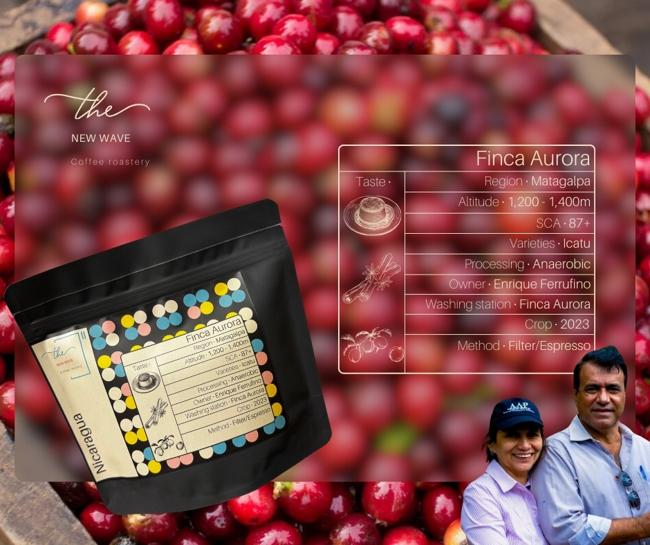 Nicaragua – Finca Aurora Icatu Anaerobic Washed