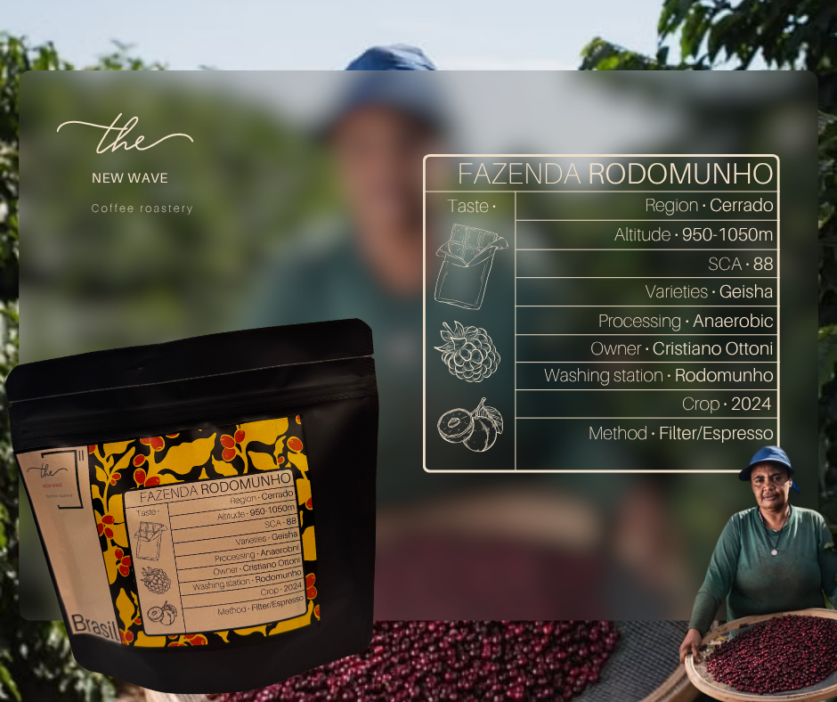Brazílie Fazenda Rodomunho Geisha