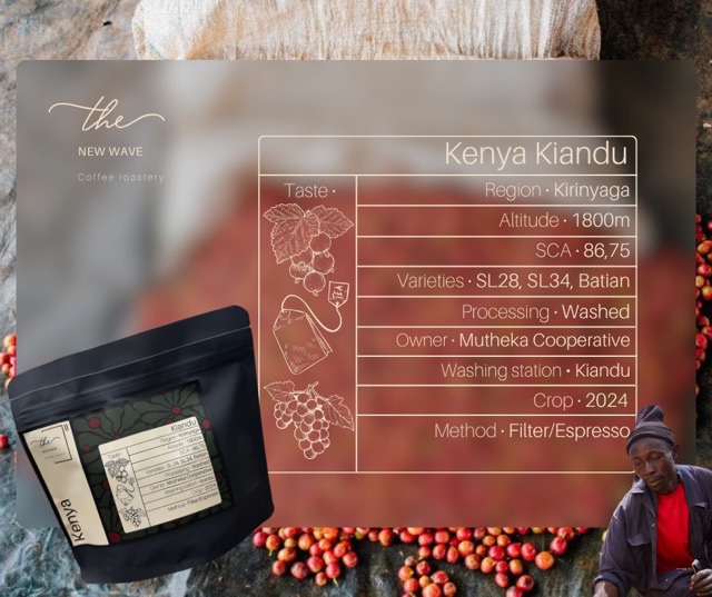 Kenya – Kiandu AB Washed
