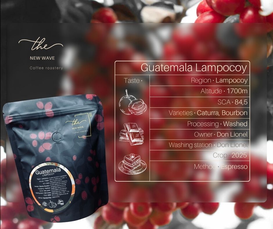 Guatemala Lampocoy Washed