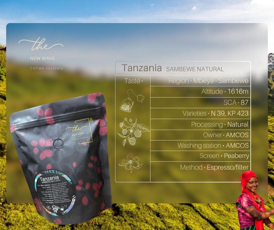 Tanzania Sambewe Peaberry Washed