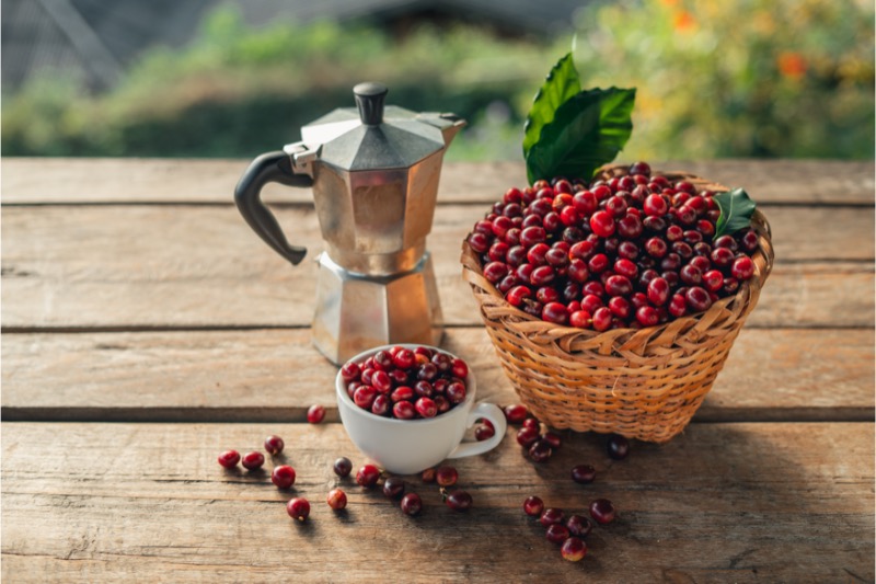 Brazílie Santos Decaf Swiss water – bezkofeinová káva