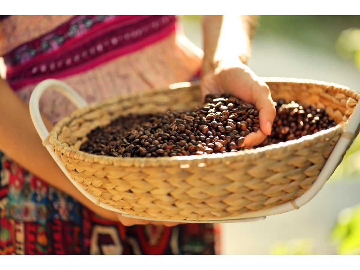 Bolivia Altura EP Organic