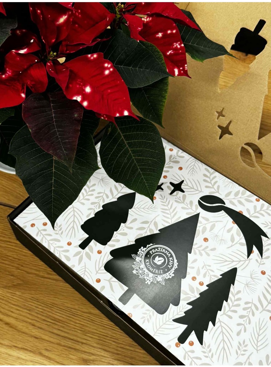 Adventní kávový kalendář 2025