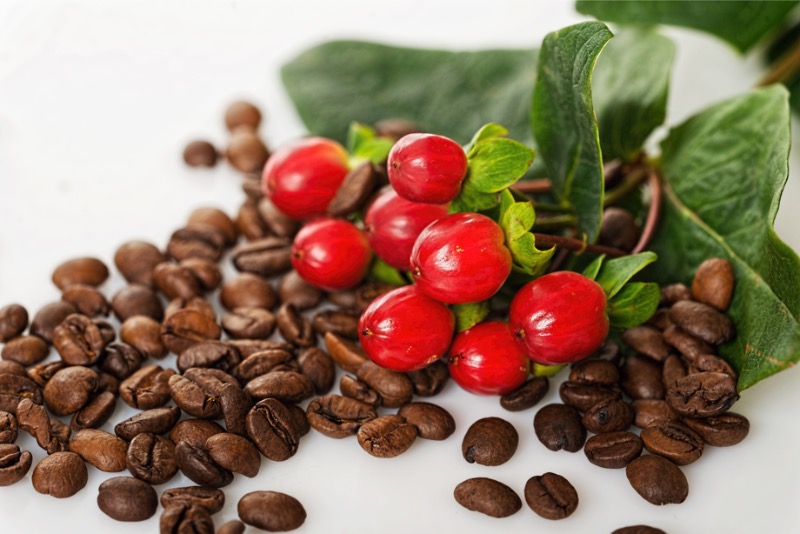 Espresso směs CAFFÉ GRAND – směs arabica & robusta 70/30