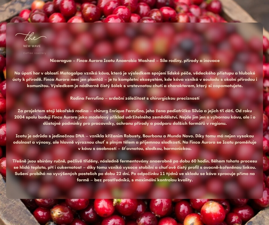 Nicaragua – Finca Aurora Icatu Anaerobic Washed