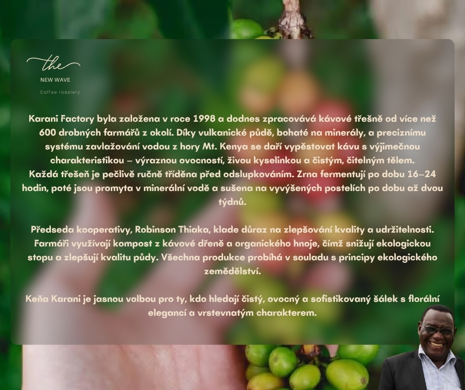 Kenya Kabare Karani AA Washed