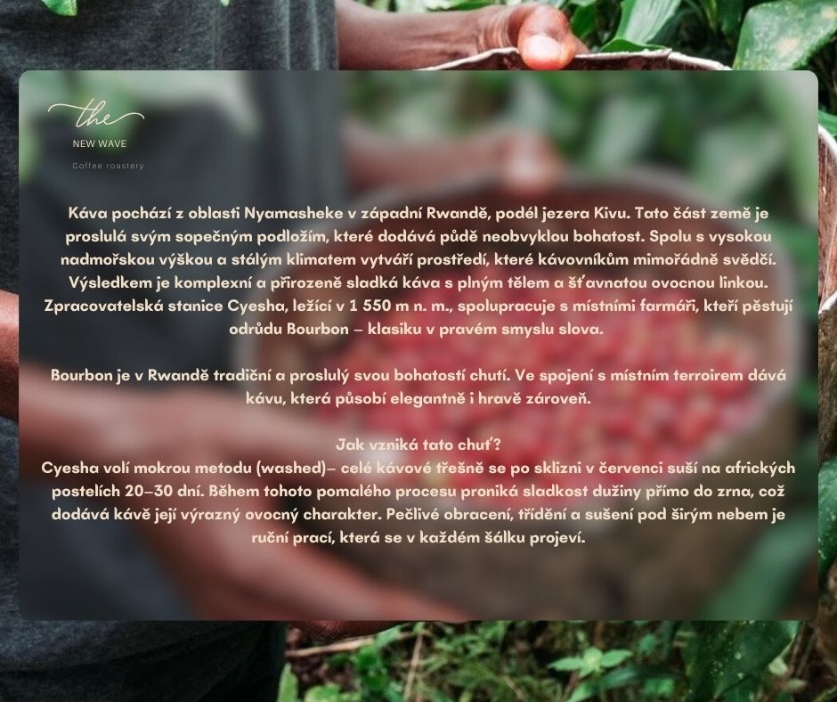 Rwanda – Cyesha Washed