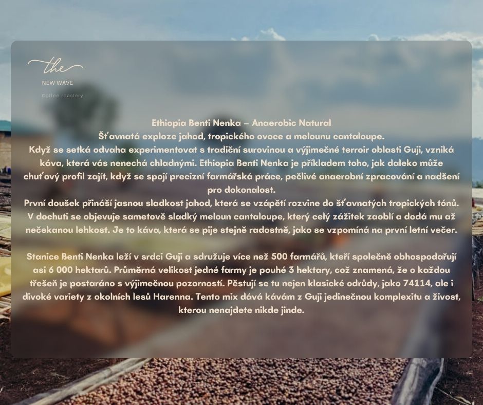 Etiopie Benti Nenka - Anaerobic Natural