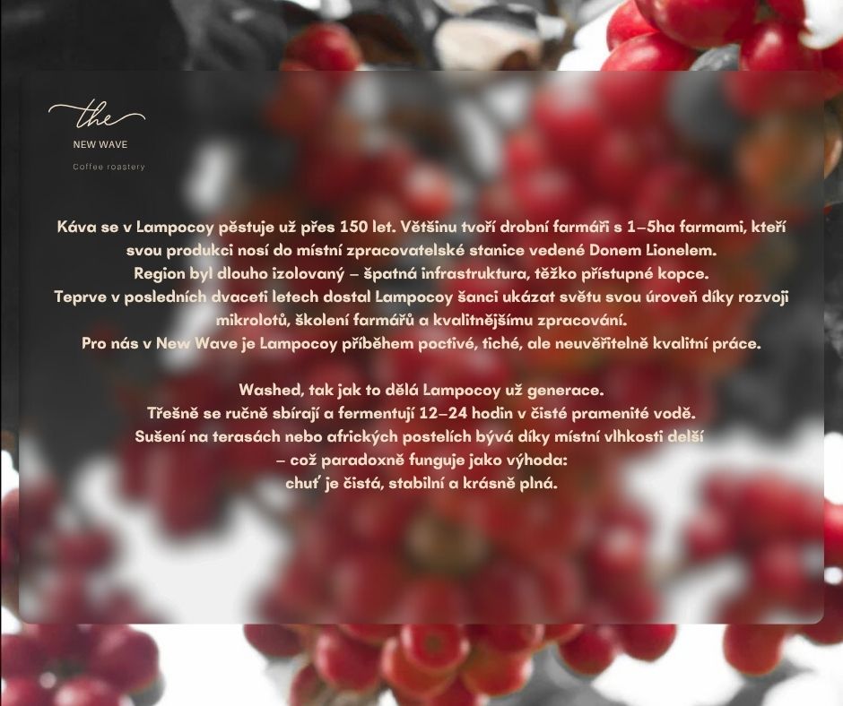 Guatemala Lampocoy Washed