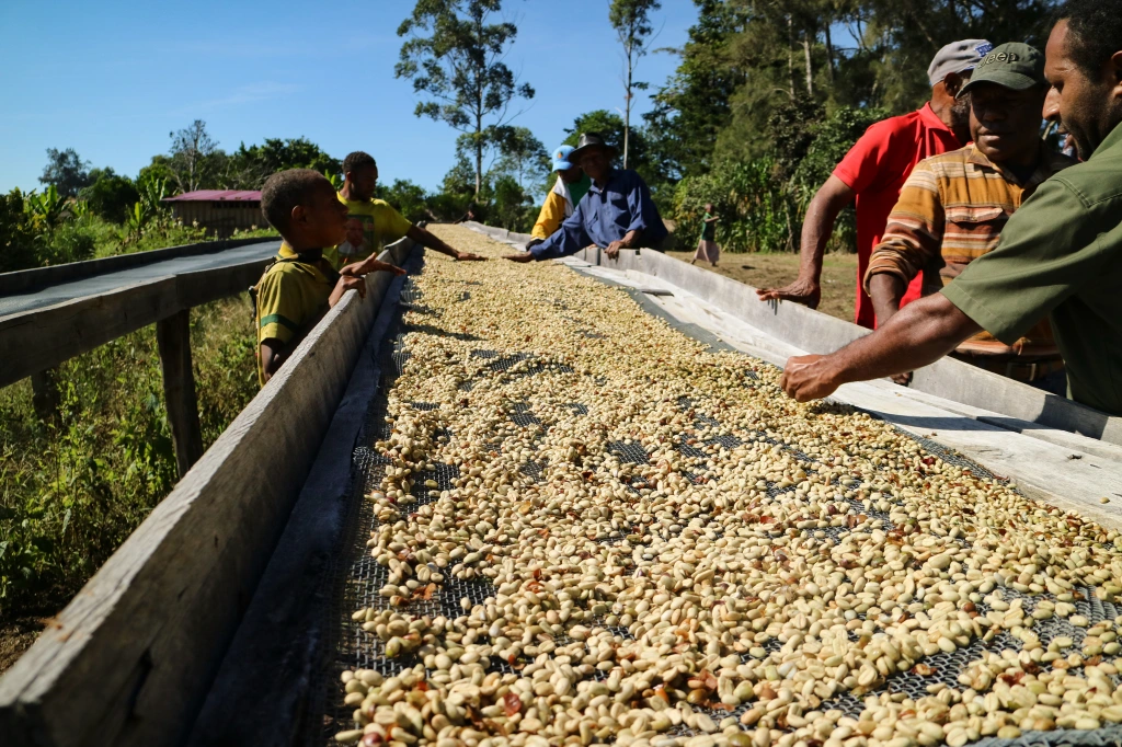 Papua New Guinea Sigri