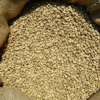 INDIA Parchment AB scr.16 robusta