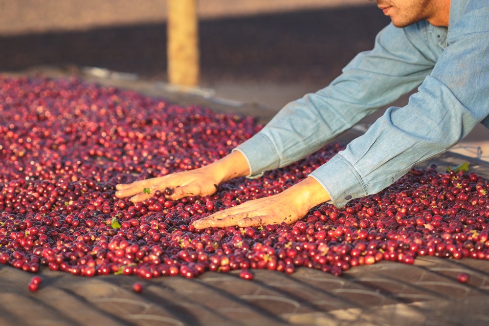 Columbia Narino Buesaco de Altura Excelso