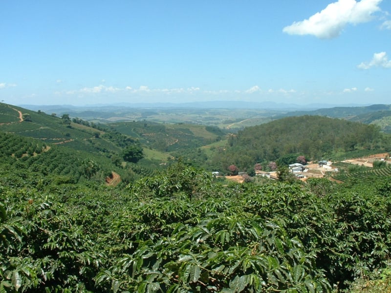 Columbia Finca la Secreta Juan Carlos Mejia na filtr 250g