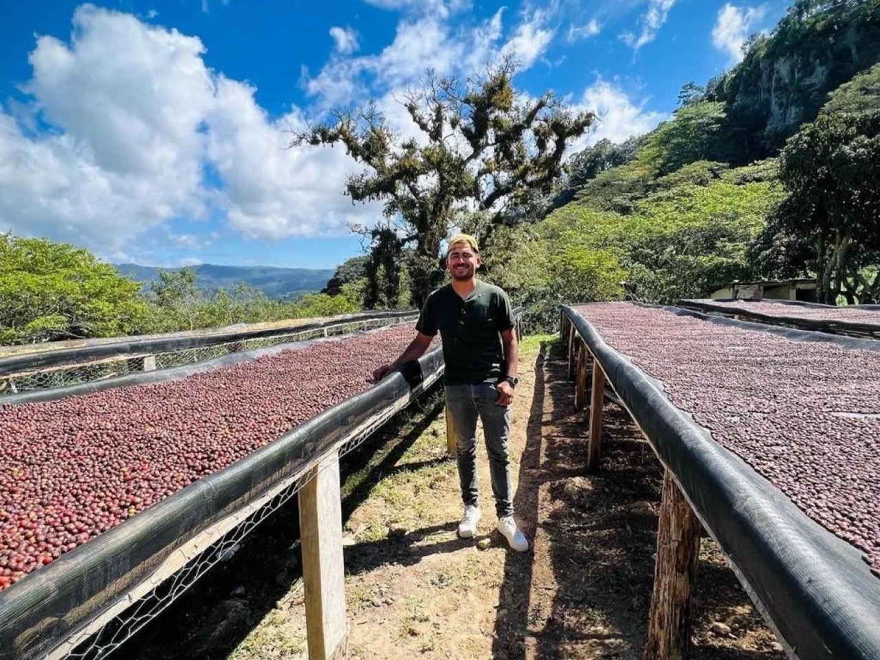 Cocafelol SHG EP FTO Fully Washed 250g