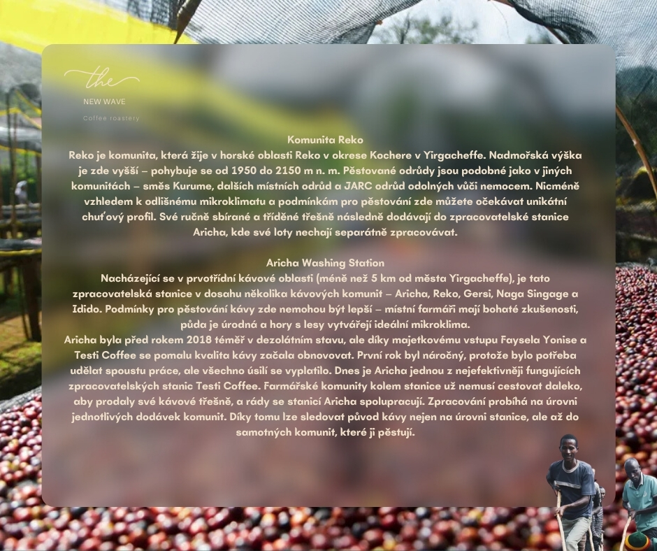 Etiopie REKO – Výjimečná chuť Yirgacheffe ve své nejčistší podobě