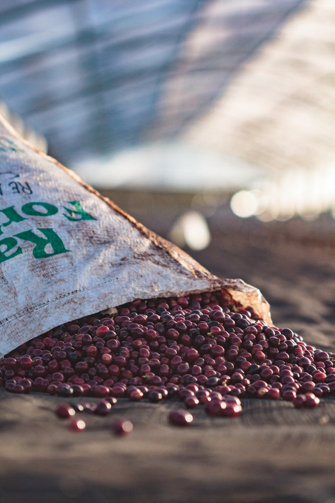 Brazílie Santos Diamond