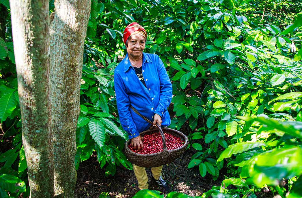 Cuba Serrano Lavado
